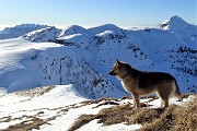 47 Vista verso il Sodadura salito tre giorni fa